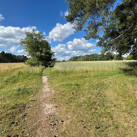 Top-Ferienwohnung Bei Berlin, Bis 3 Gaeste, Terrasse Und Garten Bestensee Bagian luar foto